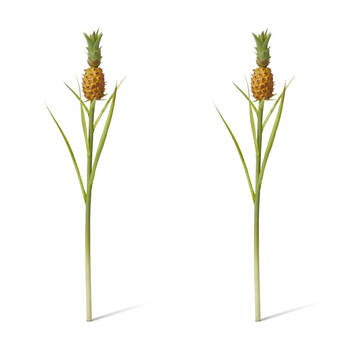2PK E Style Pineapple Stem Realistic Artificial Fruit Plastic Orange Green 60cm