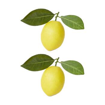 2PK E Style Lemon Twig Realistic Artificial Fruit Plastic Yellow Green 14x8x10cm
