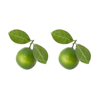 2PK E Style Lime Twig Realistic Artificial Fruit Plastic Foam Green 12x7x8cm