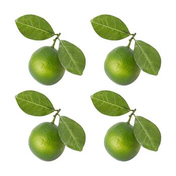 4PK E Style Lime Twig Realistic Artificial Fruit Plastic Foam Green 12x7x8cm