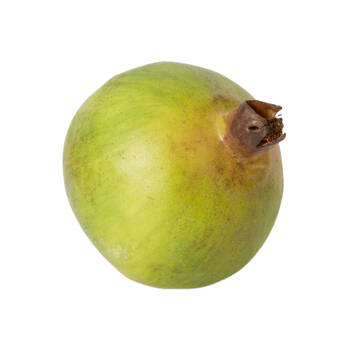 E Style Pomegranate Grand Realistic Artificial Fruit Plastic Green 10cm