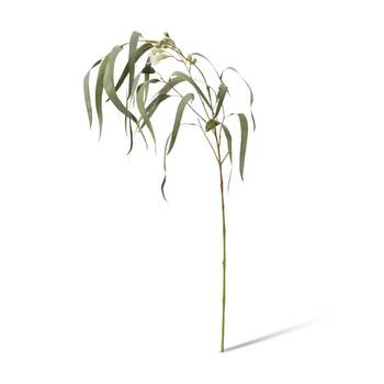 E Style Eucy Flowering Spray Realistic Artificial Flower Grey Green 112cm