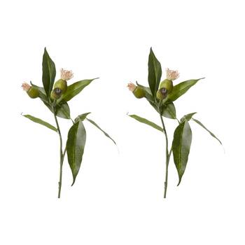 2PK E Style Eucy Nut Flowering Spray Realistic Artificial Flower Pink Green 51cm