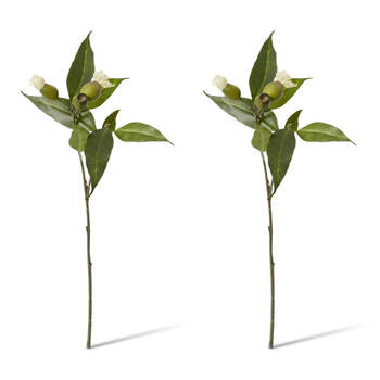 2PK E Style Eucy Nut Flowering Spray Artificial Flower White Green 51cm