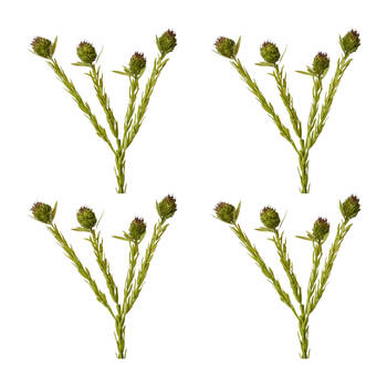 4PK E Style Clubmoss Spray Realistic Artificial Flower Plastic Green Brown 56cm