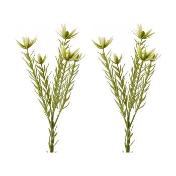2PK E Style Leucadendron Spray Realistic Artificial Flower Plastic Green 72cm