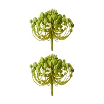 2PK E Style Star Seeding Stem Realistic Artificial Flower Green 11x11x61cm
