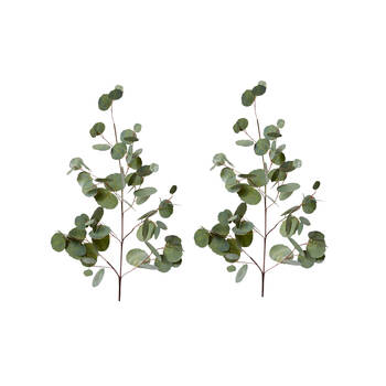 2PK E Style Eucalyptus Silver Dollar Spray Artificial Flower Green 99cm