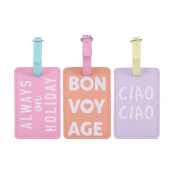 3pc iPack Luggage Tag Set Multi-Colour Adjustable Strap 6.6x10.4cm