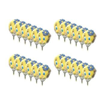 24PK Relkon Looney Tunes Sugar Coated Marshmallow Pops 45g Assorted