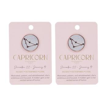 2PK Splosh Zodiac Sign Ceramic Keepsake Pin Rose Gold Enamel Capricorn 3x1x2.5cm