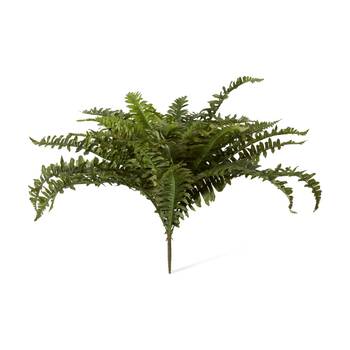 E Style Fern Boston Indoor Outdoor Plastic Fabric Wire Green 65x65x55cm