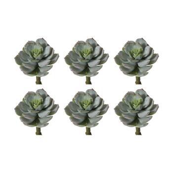 6PK E Style Echeveria Opalina Pick Artificial Succulent Stem Plastic Wire Grey