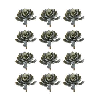 12PK E Style Echeveria Elegant Stem Artificial Succulent Wire Green 10x10x15cm