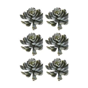 6PK E Style Echeveria Elegant Stem Artificial Succulent Plastic Green 12x12x18cm