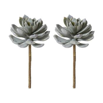 2PK E Style Echeveria Elegans Stem Artificial Succulent Wire Green 15x15x23cm