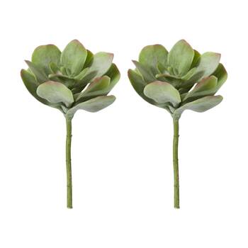 2PK E Style Flapjack Succulent Stem Artificial Plant Wire Green Red 23x23x38cm