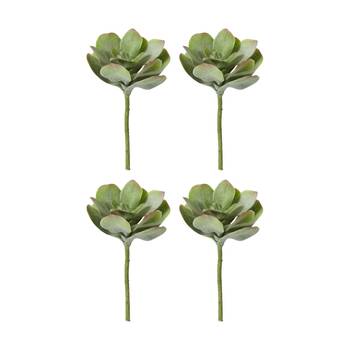 4PK E Style Flapjack Succulent Stem Artificial Plant Wire Green Red 23x23x38cm