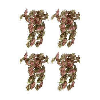 4PK E Style Aglaonema Hanging Plant Realistic Artificial Green Pink 27x22x40cm