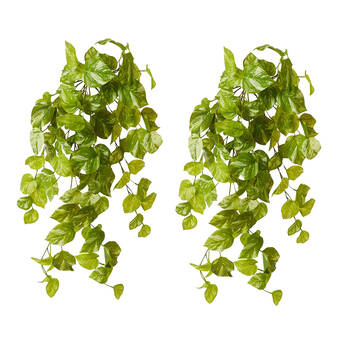 2PK E Style Pothos Marble Hanging Plant Plastic Wire Green White 35x30x65cm