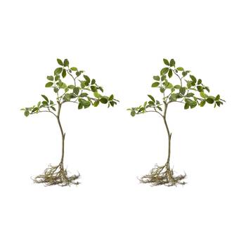 2PK E Style Blue Berry Tree With Roots Plastic Wire Cement Green 68x44x90cm