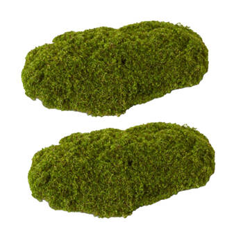 2PK E Style Moss Pad PE Nylon Yarn Plant Decor Assorted Dark Green 20x30x33cm