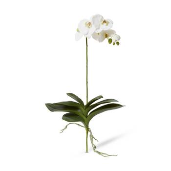 E Style Phalaenopsis Luxe Plant Orchid Artificial Decor White 39x15x76cm