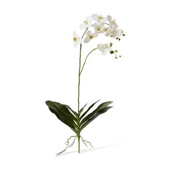 E Style Phalaenopsis Luxe Plant Orchid Artificial Decor White 42x30x103cm
