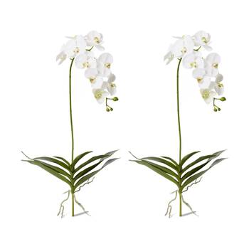 2PK E Style Phalaenopsis Deluxe Plant Artificial Indoor White Green 51x34x114cm