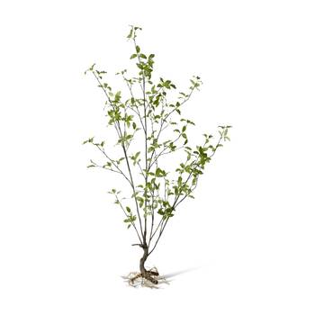 E Style Pittosporum Plant Artificial Indoor Outdoor Decor Green 71x53x139cm