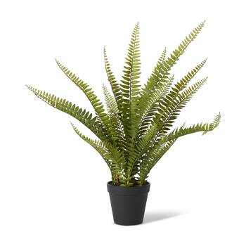 E Style Fern Boston Potted Artificial Plant Plastic Fabric Green 23x23x51cm