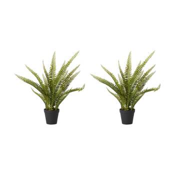 2PK E Style Fern Boston Potted Artificial Plant Plastic Fabric Green 23x23x51cm