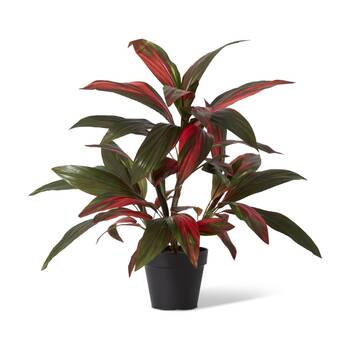 E Style Cordyline Plant Potted Artificial Plastic Green Red 60x60x70cm