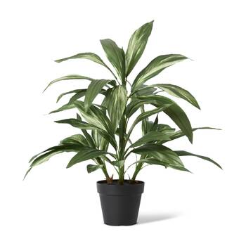 E Style Cordyline Plant Potted Artificial Plastic Green White 60x60x70cm
