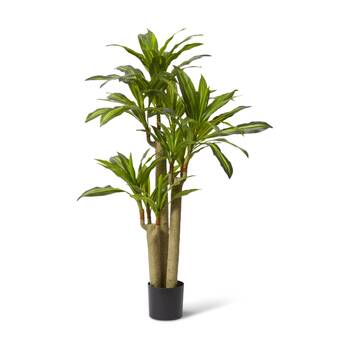 E Style Dracaena Happy Plant Artificial Plastic 80x60x155cm Yellow Green