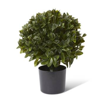 E Style Topiary Gloxinia Potted Outdoor Artificial Plastic Green 30x30x51cm