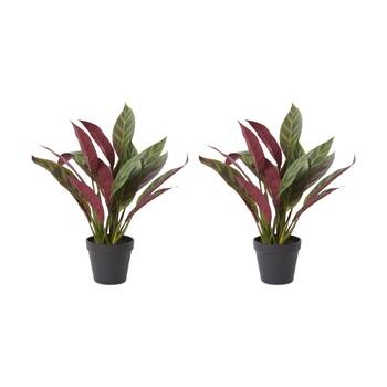 2PK E Style Calathea Zebra Plant Potted Plastic Fabric Wire Red Green 42x38x49cm