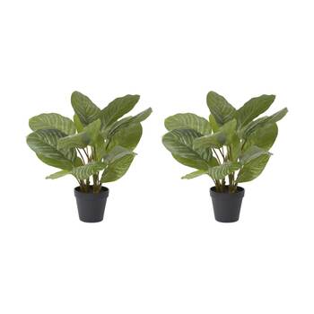 2PK E Style Aglaonema Plant Potted Plastic Fabric Wire Green 42x34x46cm