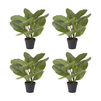 4PK E Style Aglaonema Plant Potted Plastic Fabric Wire Green 42x34x46cm