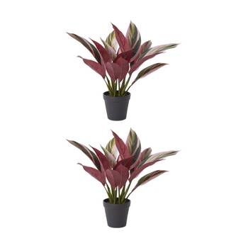 2PK E Style Calathea Plant Potted Plastic Fabric Wire Pink Green 36x34x40cm