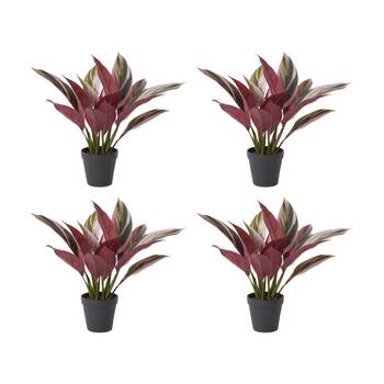 4PK E Style Calathea Plant Potted Plastic Fabric Wire Pink Green 36x34x40cm