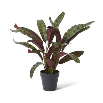 E Style Calathea Zebra Plant Potted Plastic Fabric Wire Red Green 54x48x56cm