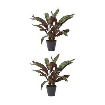 2PK E Style Calathea Zebra Plant Potted Plastic Fabric Wire Red Green 54x48x56cm