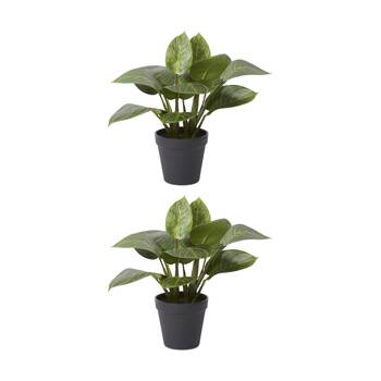2PK E Style Philodendron Birkin Plant Potted Plastic Wire Green 34x32x31cm