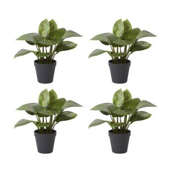 4PK E Style Philodendron Birkin Plant Potted Plastic Wire Green 34x32x31cm