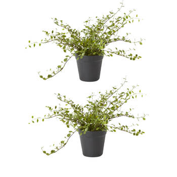 2PK E Style Angel Vine Bush Plastic Wire Flexible Branches Green 41x41x25cm