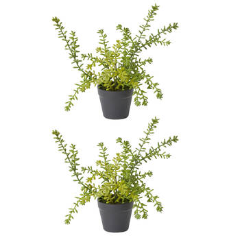 2PK E Style Sedum Plant Plastic Wire Compact Size Realistic Green 20x20x25cm