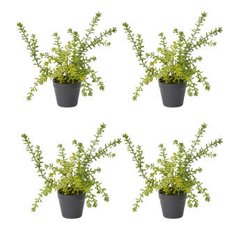4PK E Style Sedum Plant Plastic Wire Compact Size Realistic Green 20x20x25cm