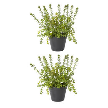2PK E Style Sedum Plant Plastic Wire Compact Size Realistic Green 25x25x32cm