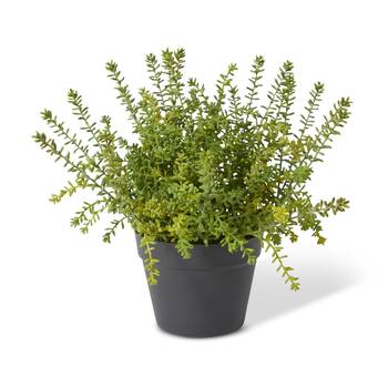 E Style Sedum Plant Plastic Wire Compact Size Realistic Green 41x41x39cm